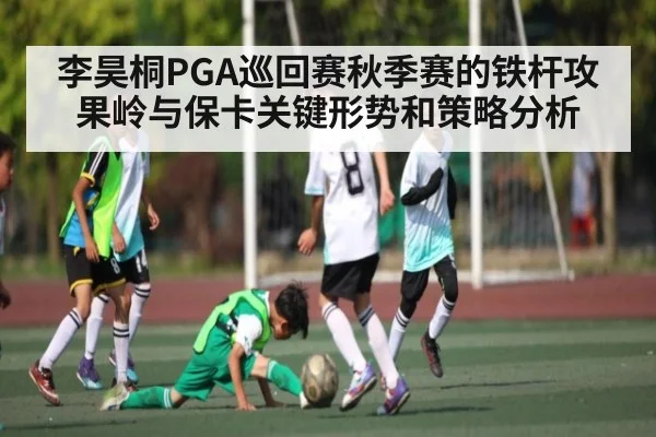 李昊桐PGA巡回赛秋季赛的铁杆攻果岭与保卡关键形势和策略分析 - kaiyun